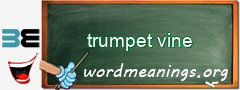 WordMeaning blackboard for trumpet vine